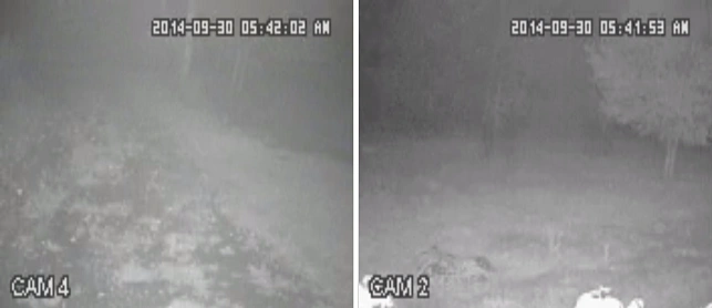 مشکلات دوربین مداربسته مادون قرمز